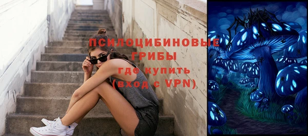 mdpv Володарск
