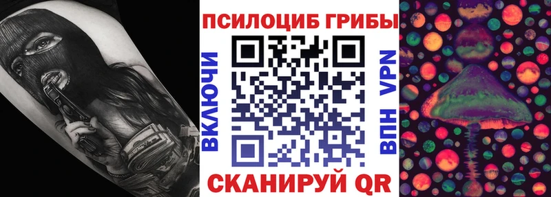 omg ССЫЛКА  Пласт  Псилоцибиновые грибы ЛСД  магазин  наркотиков 