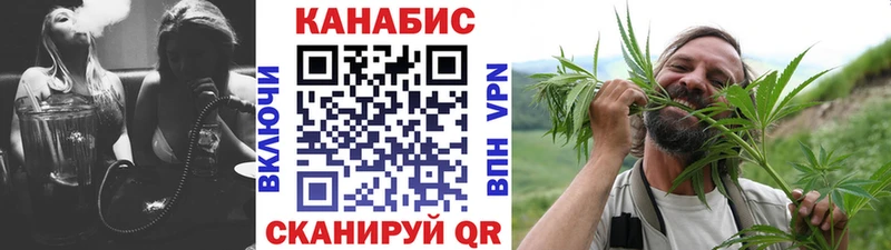 Шишки марихуана сатива Пласт